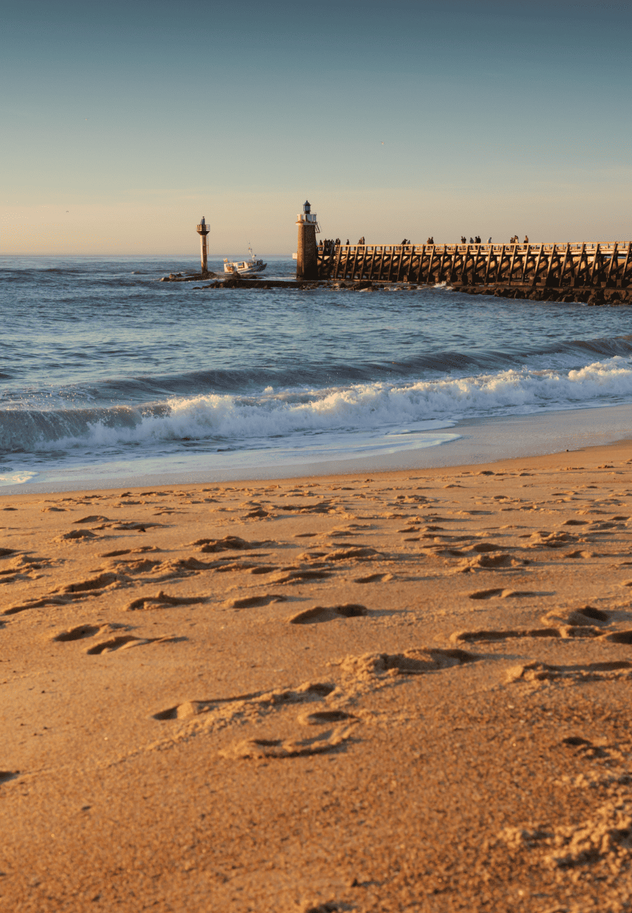 Immobilier neuf Capbreton